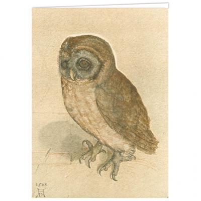 The Owl by Albrecht Durer